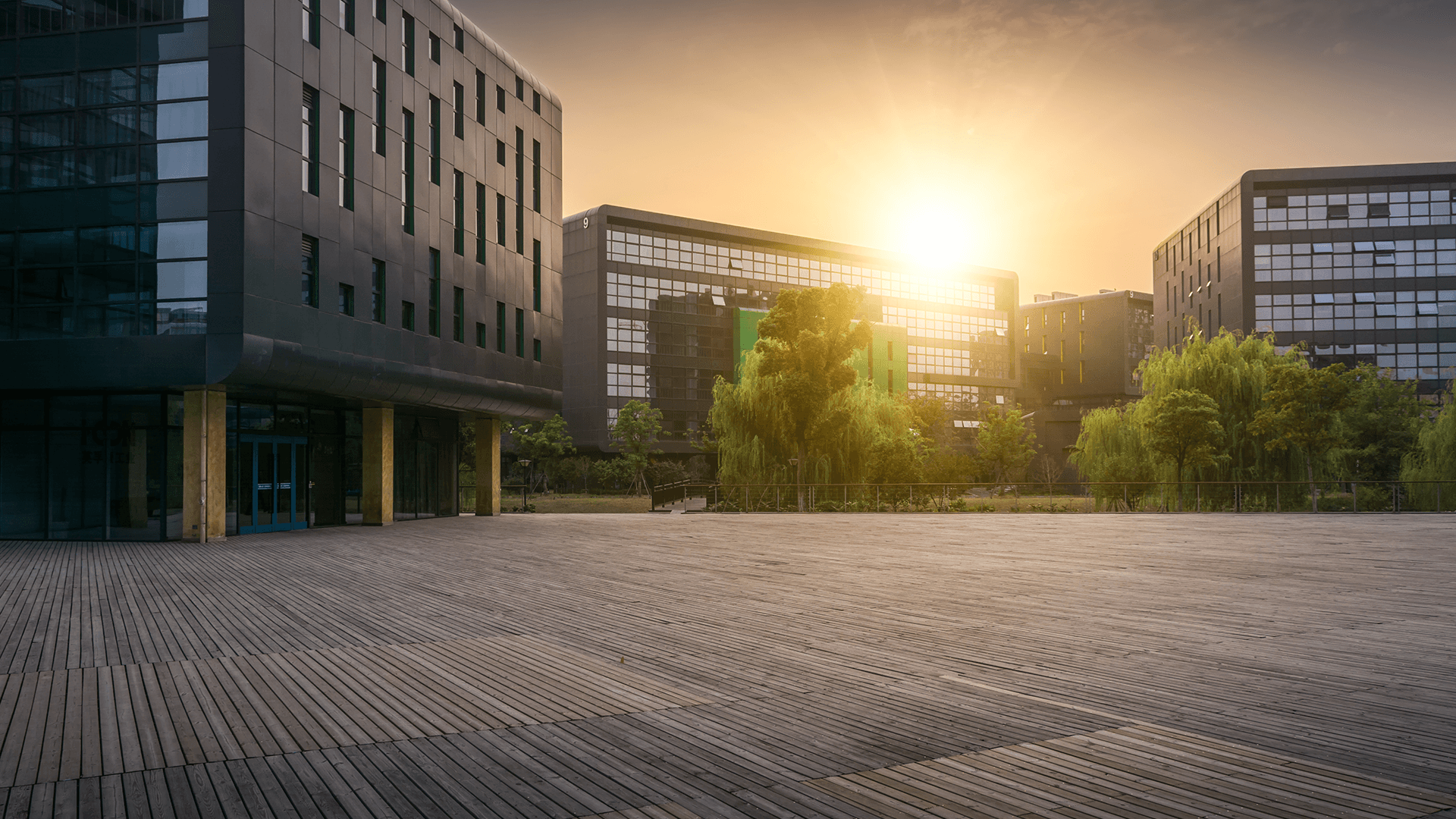Bâtiment de bureaux sur fond de coucher de soleil et avec des arbres verts en fond.